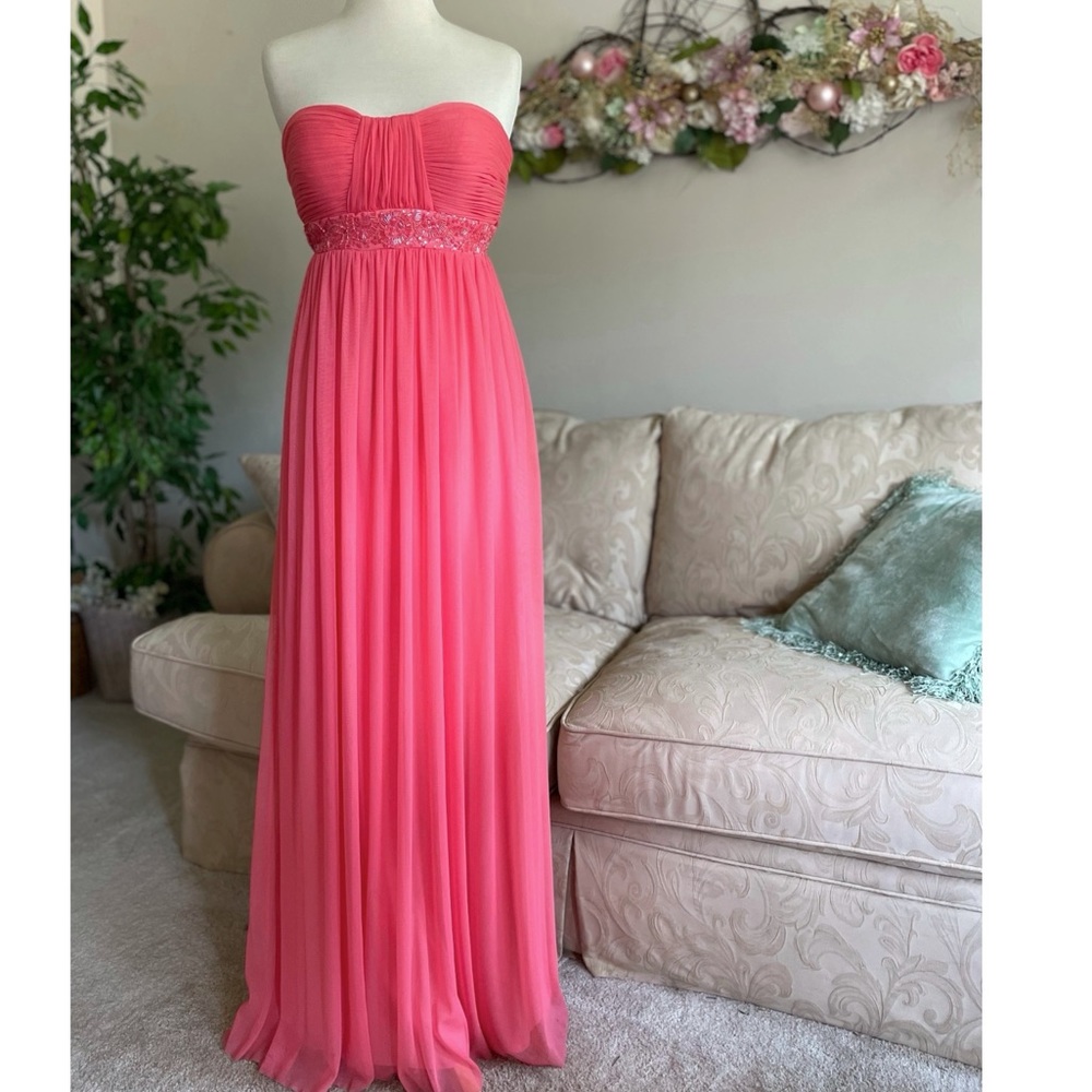 Cache Chiffon Evening Gown